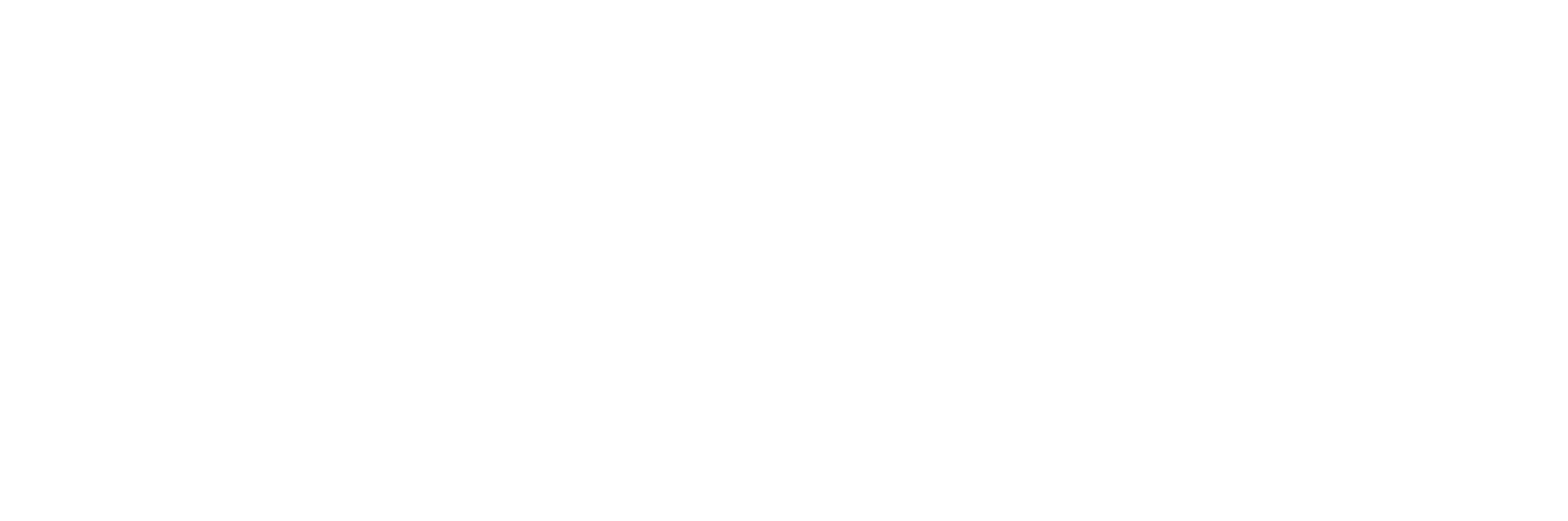 banner-logo-security-risk