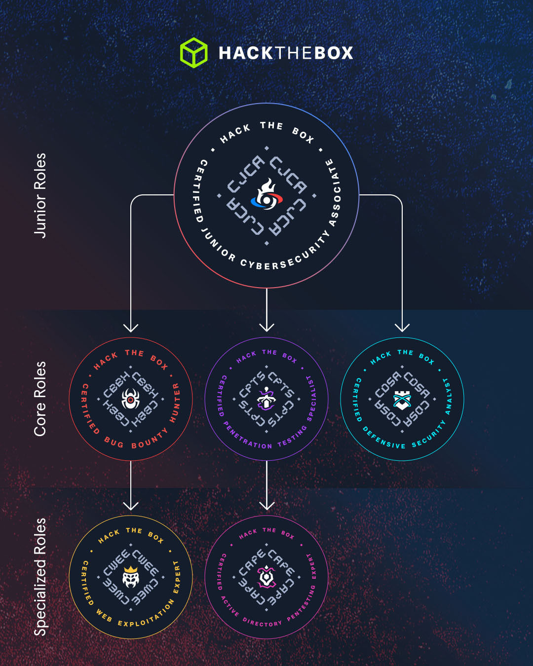 roleinfographicv2