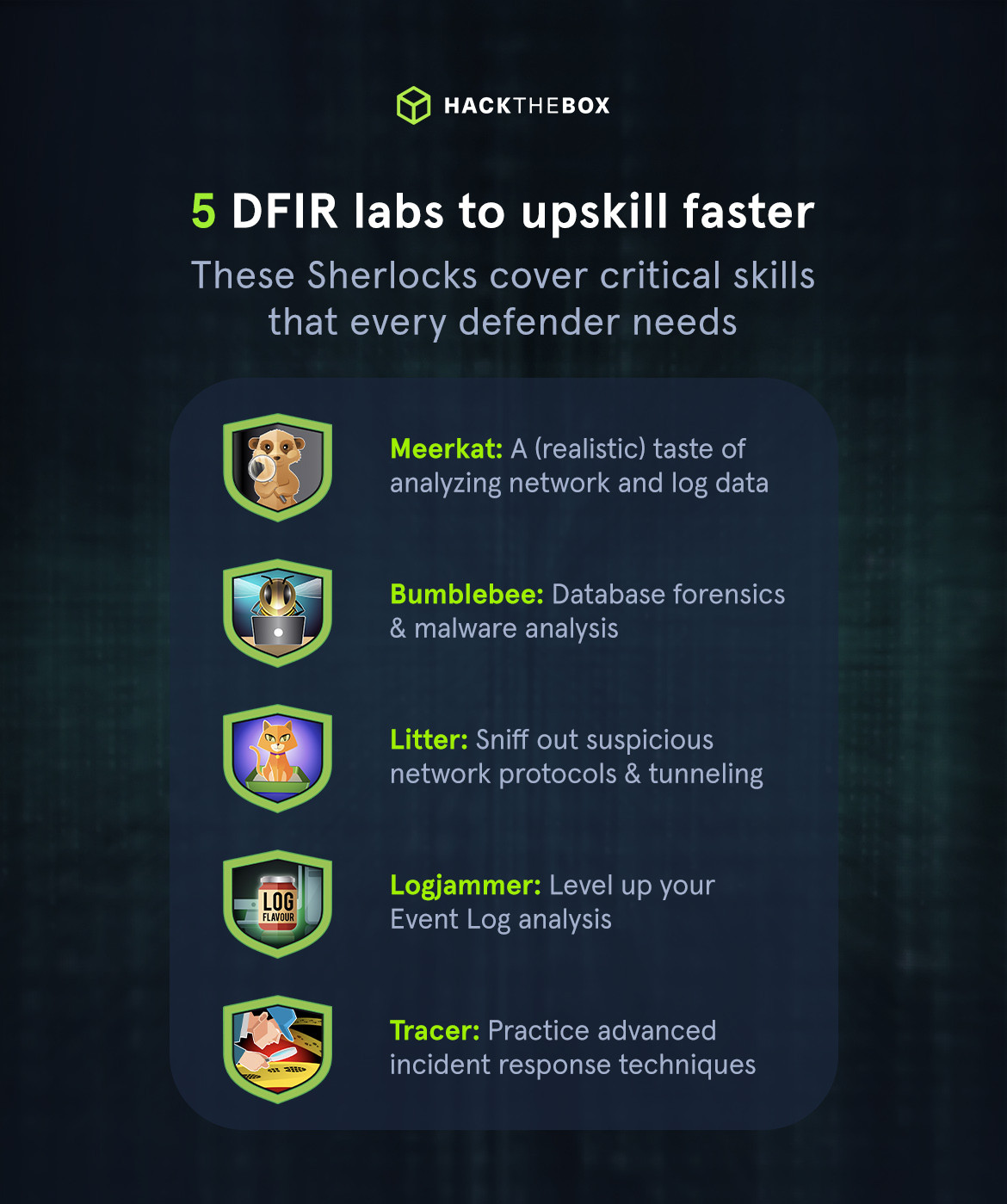 Labs for upskilling in defensive