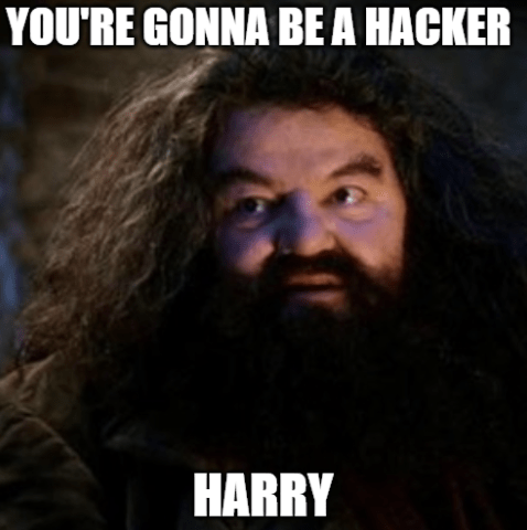 Your going to be a hacker, harry meme by Hack The Box
